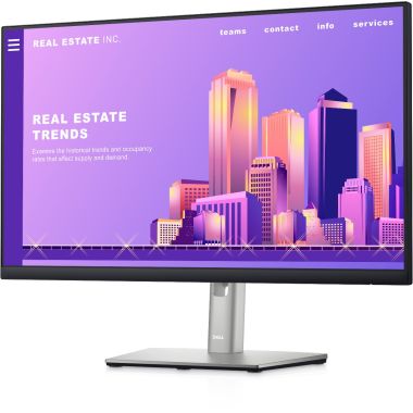 Dell 24 Monitor - P2422H